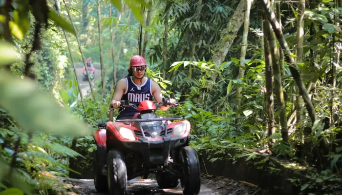 atv (17)