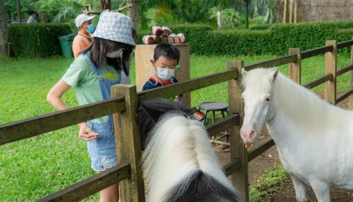 bali zoo (5)
