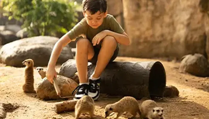 bali zoo (6)