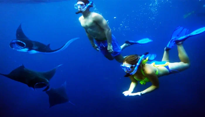 snorkeling manta bay (4)