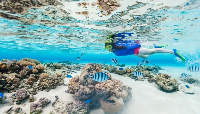 snorkelling (1)