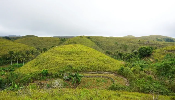 teletubbies hill (1)