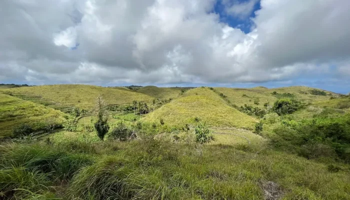 teletubbies hill (2)
