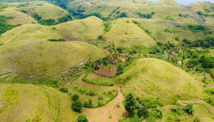 teletubbies hill (3)