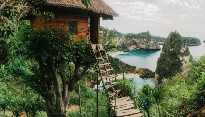 tree house (1)