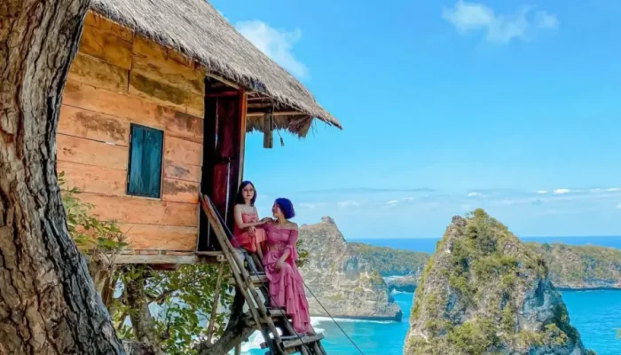 tree house (3)